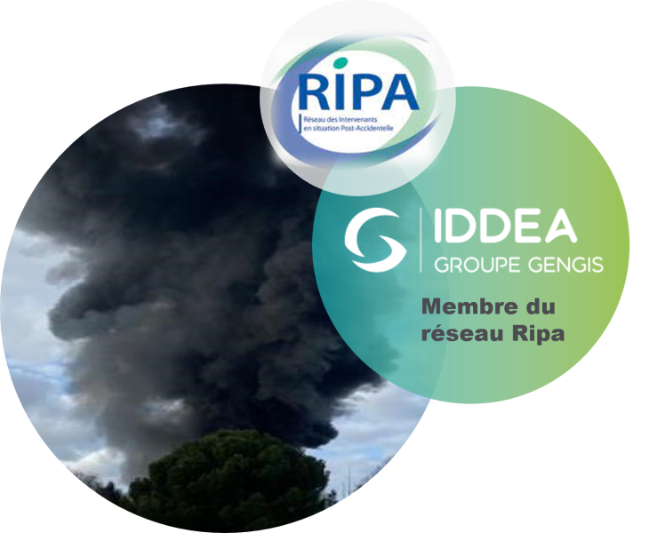 Iddea intègre le réseau RIPA Image 1